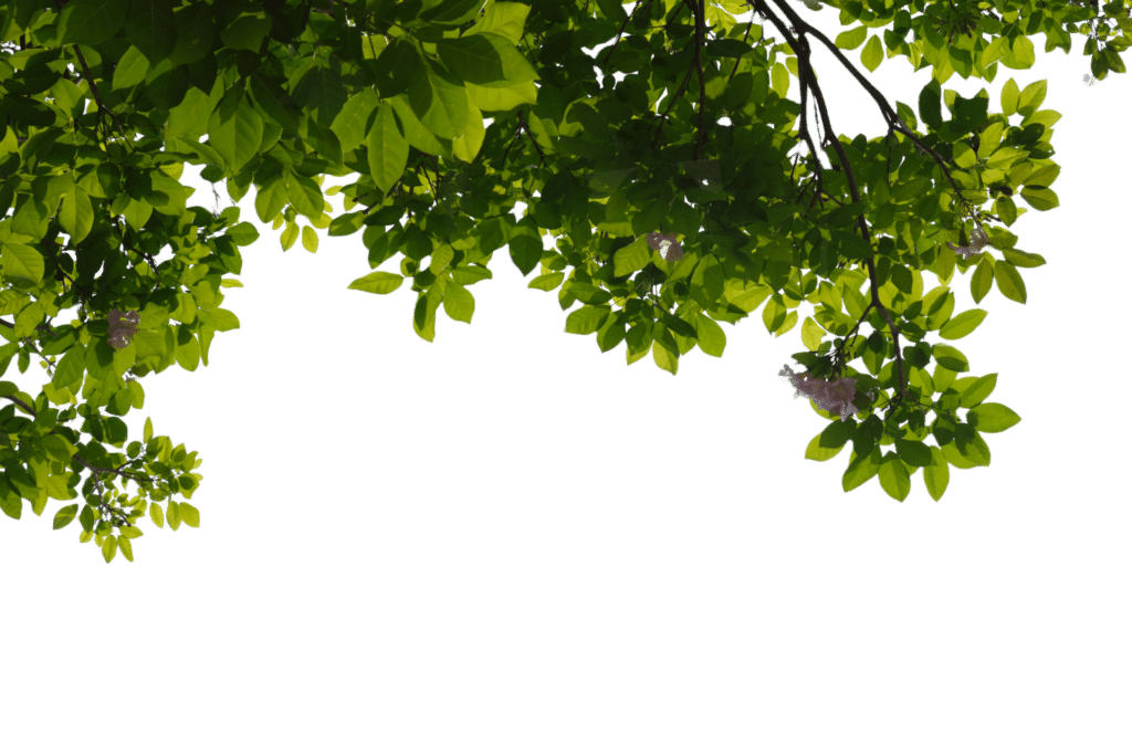 Branche 1 - Aménagements paysagers - Quimper Brest